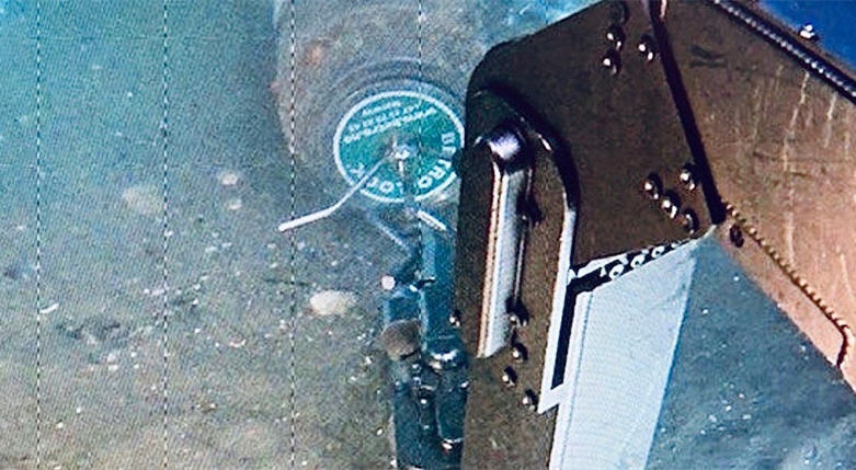 argozmarine7