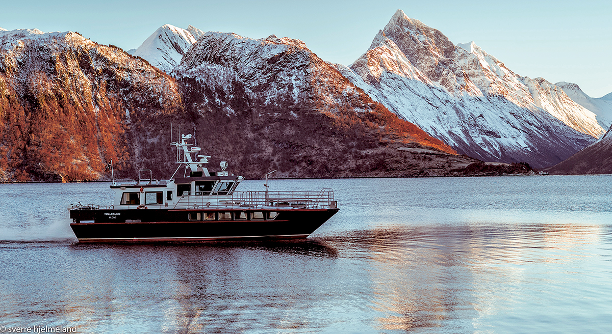 184031 Tollesund-2